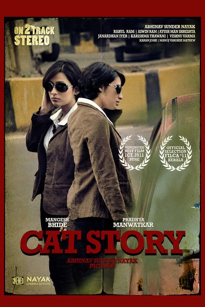 Póster de Cat Story