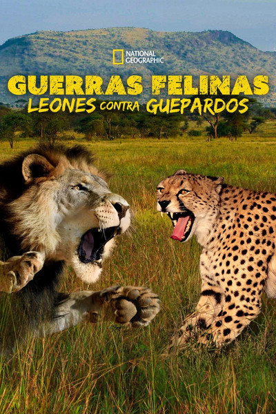 Póster de Cat Wars: Lion Vs. Cheetah