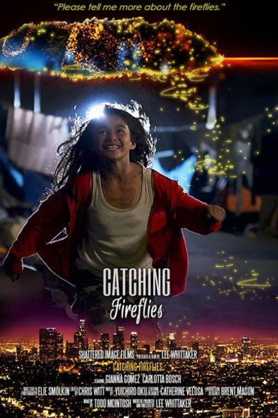 Póster de Catching Fireflies