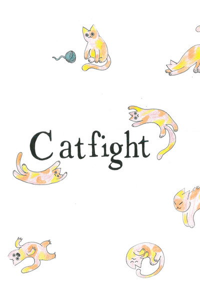 Póster de Catfight