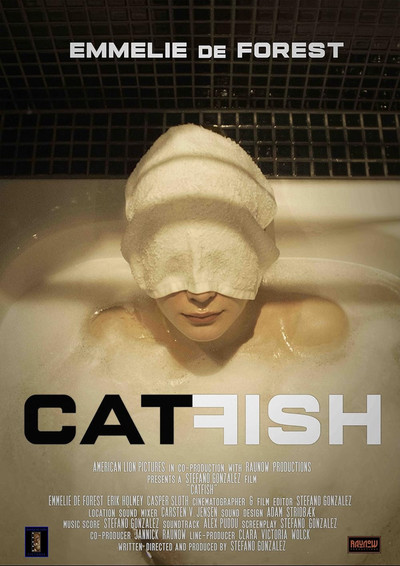 Póster de Catfish