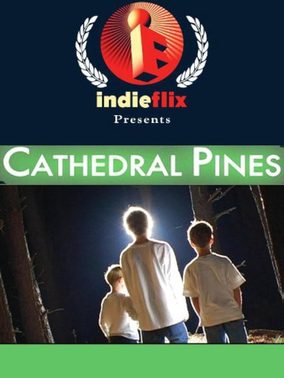 Póster de Cathedral Pines