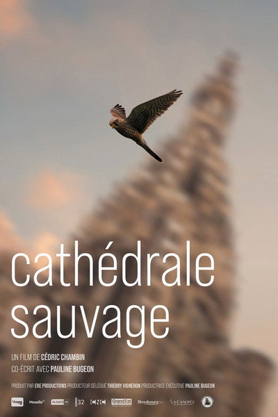 Póster de Cathédrale sauvage