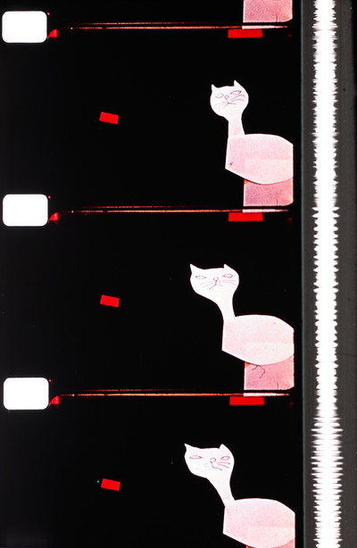 Póster de Cats