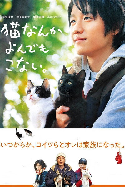 Póster de Cats Don't Come When You Call