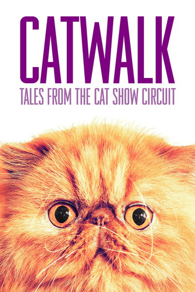 Póster de Catwalk: Tales from the Cat Show Circuit