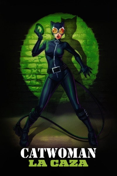 Póster de Catwoman: Acechada