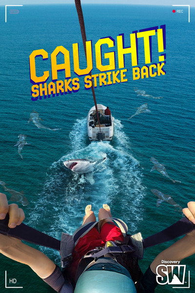 Póster de Caught, Sharks Strike Back