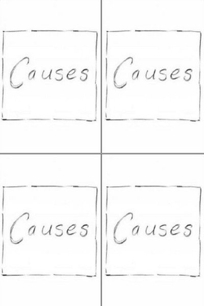 Póster de Causes