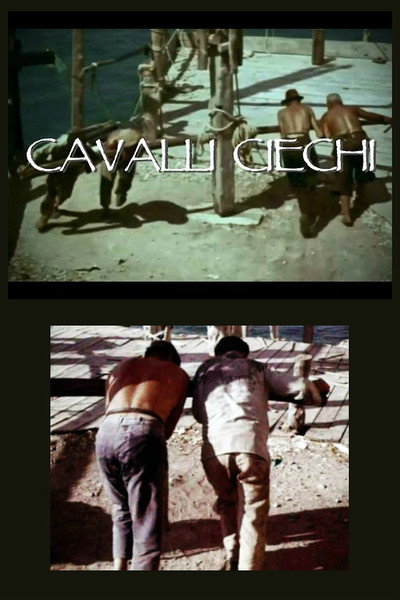 Póster de Cavalli ciechi