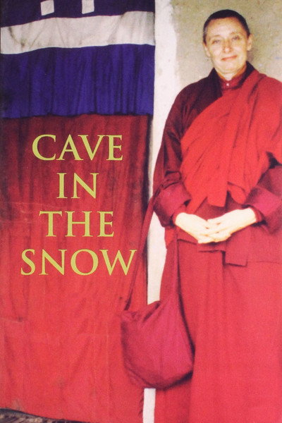 Póster de Cave in the Snow