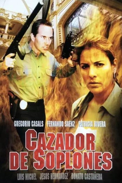 Póster de Cazador de soplones