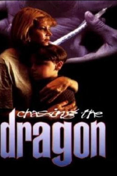 Póster de Cazando dragones