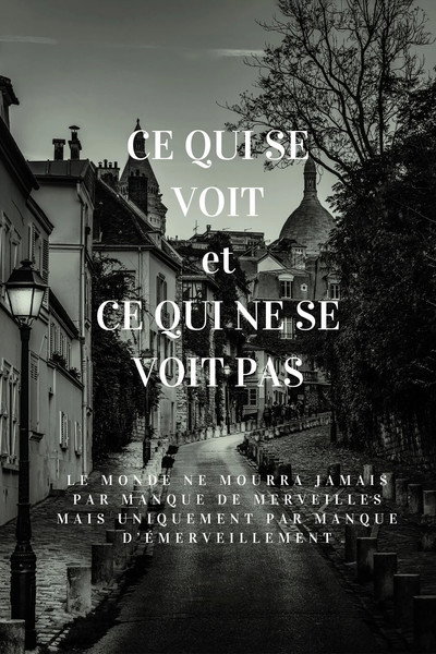 Póster de Ce qui se voit et ce qui ne se voit pas