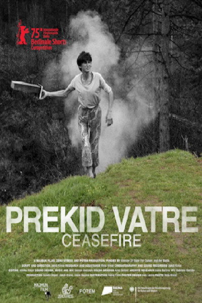 Póster de Ceasefire