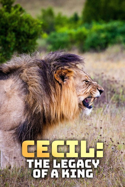 Póster de Cecil: The Legacy of a King