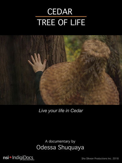 Póster de Cedar Tree of Life