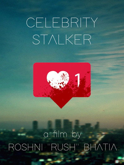 Póster de Celebrity Stalker