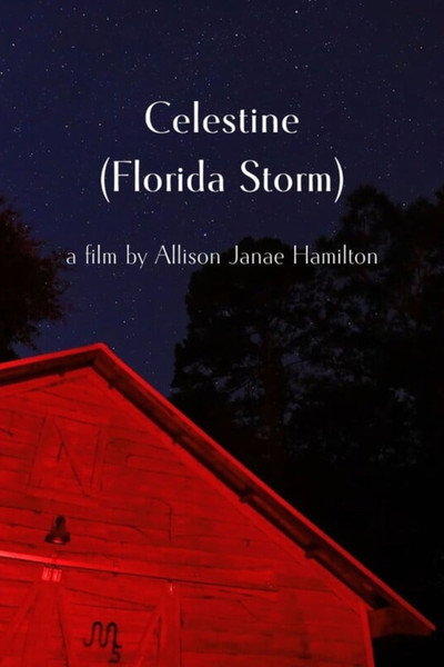 Póster de Celestine (Florida Storm)