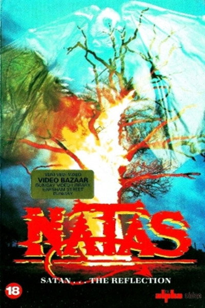 Póster de Centinela del Diablo