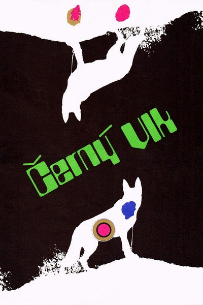 Póster de Cerný vlk