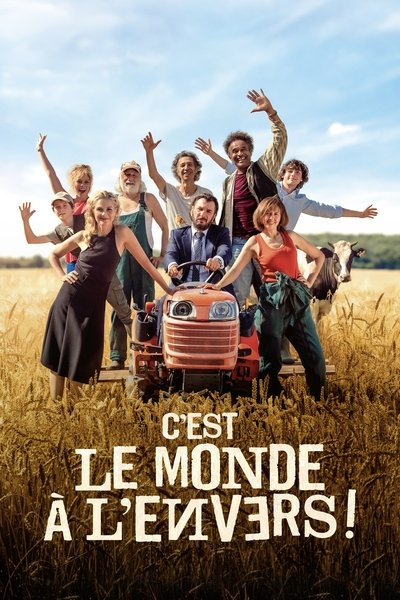 Póster de C'est le monde à l'envers !