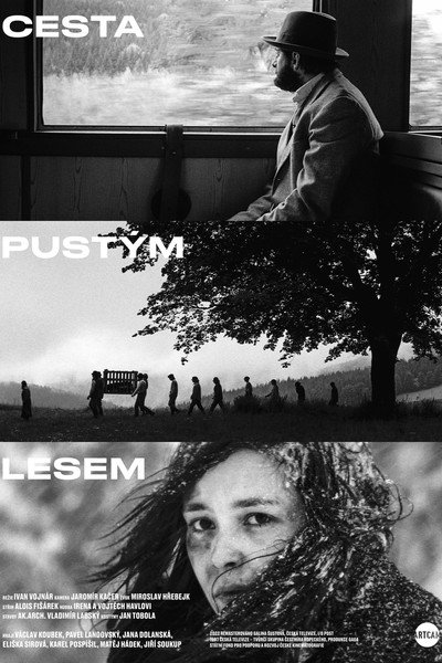 Póster de Cesta pustým lesem