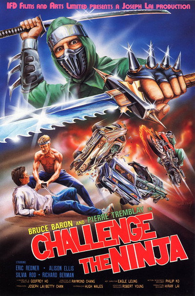 Póster de Challenge of the Ninja