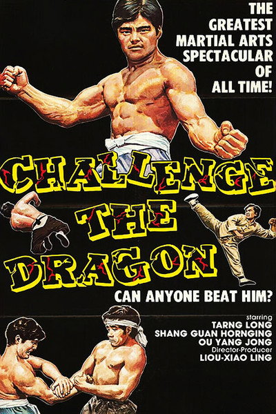 Póster de Challenge the Dragon