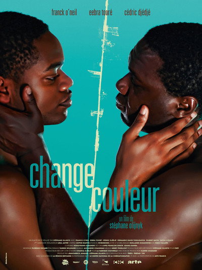 Póster de Chameleon