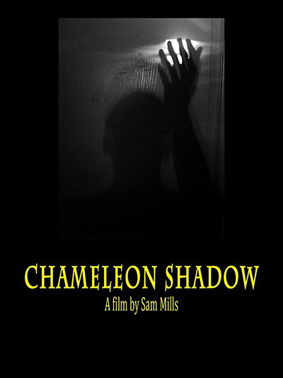 Póster de Chameleon Shadow
