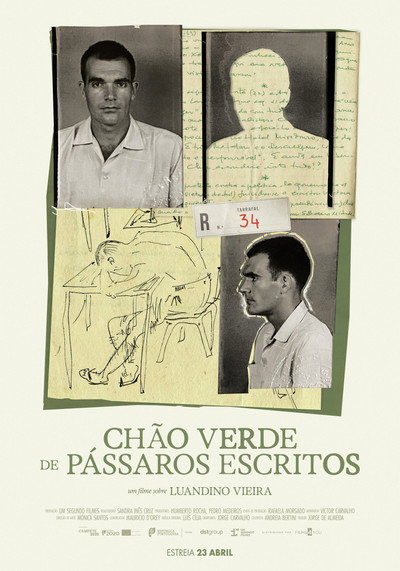 Póster de Chão Verde de Pássaros Escritos