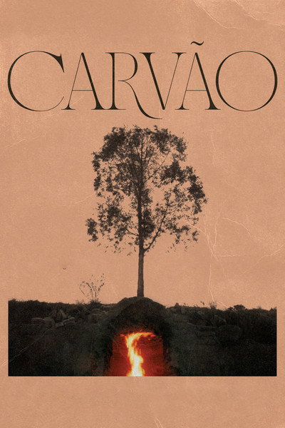 Póster de Charcoal