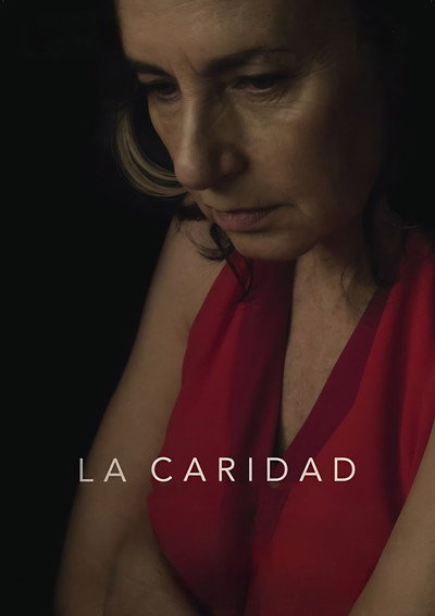 Póster de Charity
