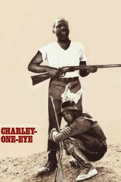 Póster de Charley, el tuerto