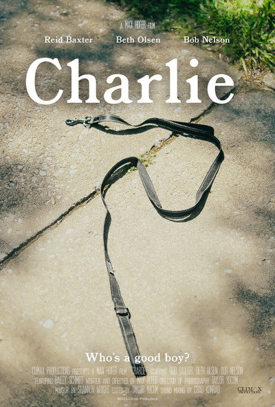Póster de Charlie
