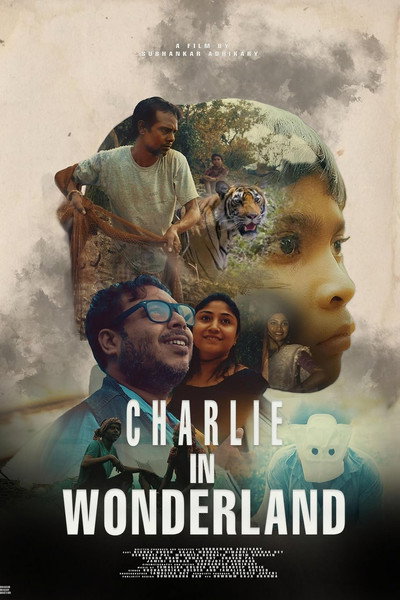 Póster de Charlie in Wonderland