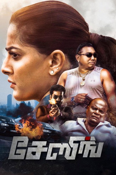 Póster de Chasing