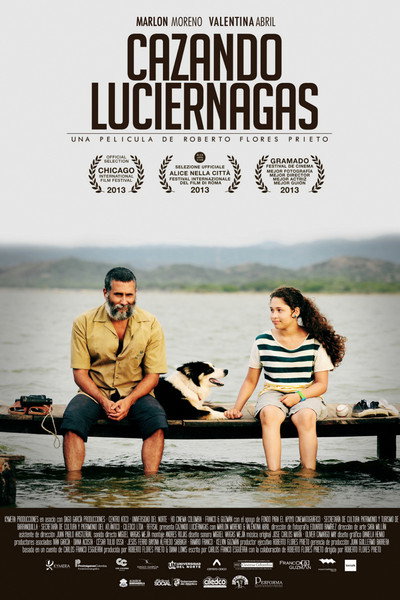 Póster de Chasing Fireflies