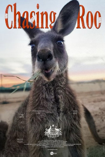 Póster de Chasing Roo
