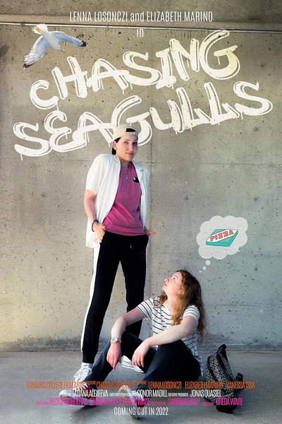 Póster de Chasing Seagulls