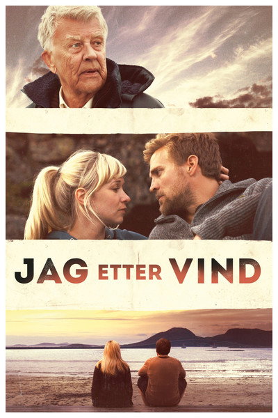Póster de Chasing the Wind