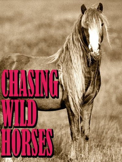 Póster de Chasing Wild Horses