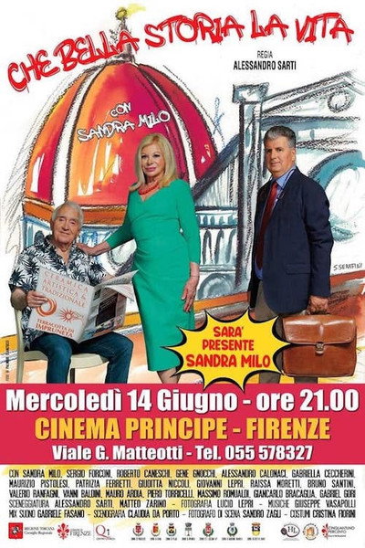 Póster de Che bella storia la vita
