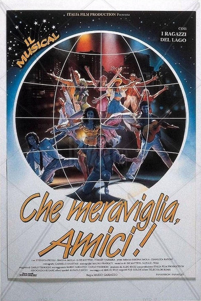 Póster de Che meraviglia, amici!