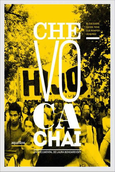 Póster de Che vo cachai