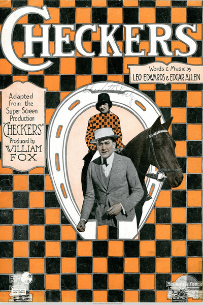 Póster de Checkers