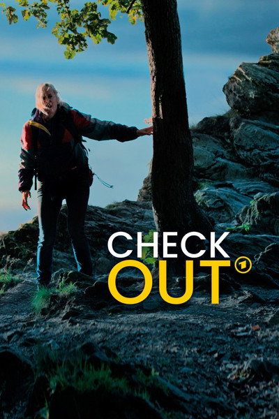 Póster de Checkout