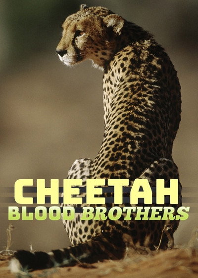 Póster de Cheetah Blood Brothers