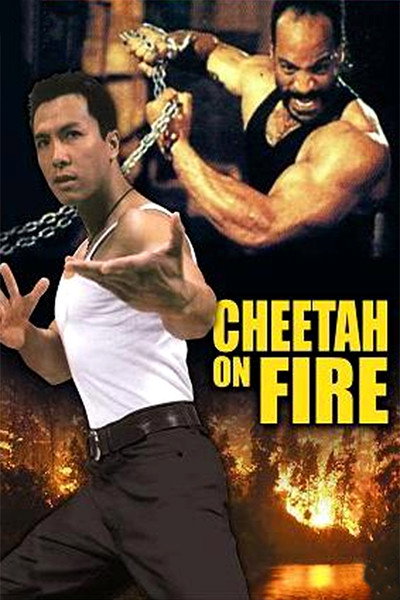 Póster de Cheetah on Fire